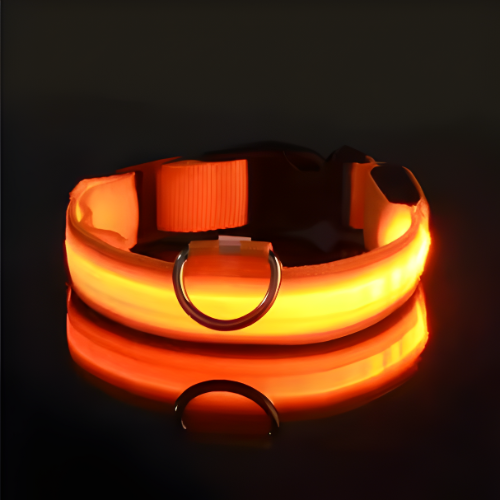 Collar para Perro con Luz LED