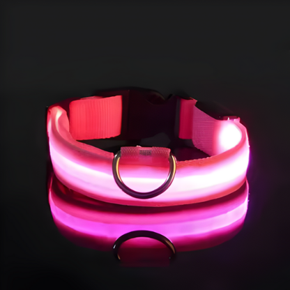 Collar para Perro con Luz LED