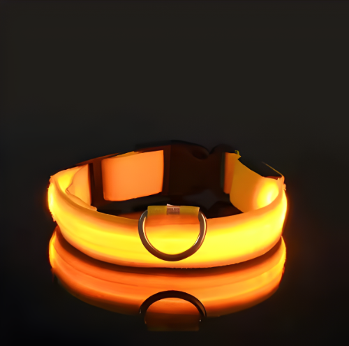 Collar para Perro con Luz LED