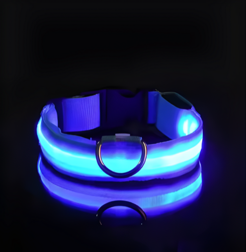Collar para Perro con Luz LED