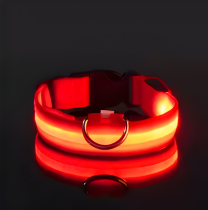 Collar para Perro con Luz LED
