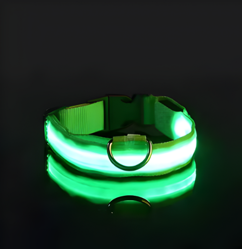 Collar para Perro con Luz LED