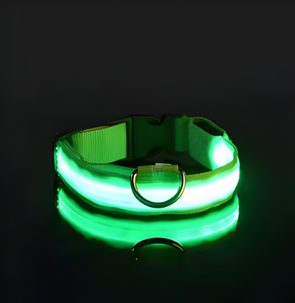 Collar para Perro con Luz LED