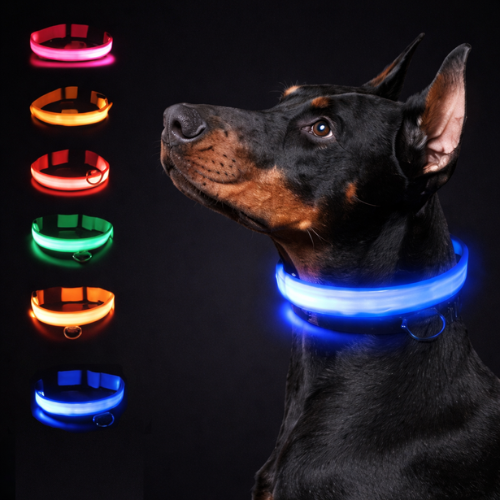 Collar para Perro con Luz LED