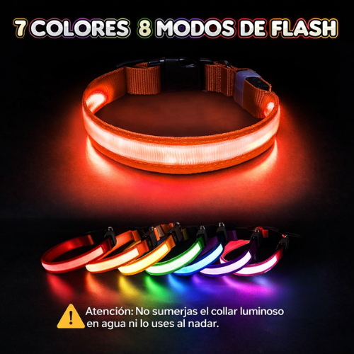Collar para Perro con Luz LED