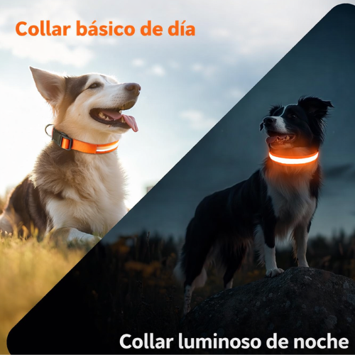 Collar para Perro con Luz LED