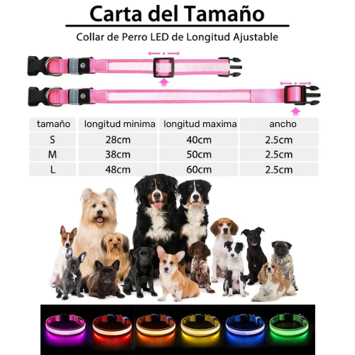 Collar para Perro con Luz LED