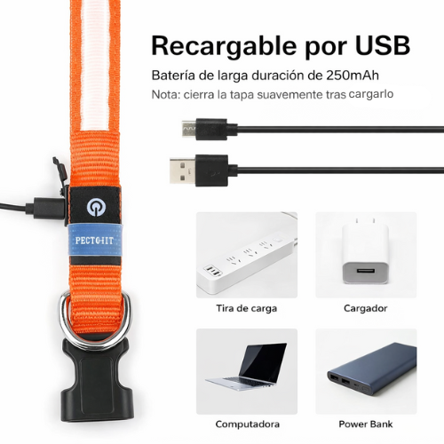 Collar para Perro con Luz LED