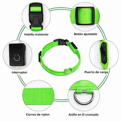 Collar para Perro con Luz LED